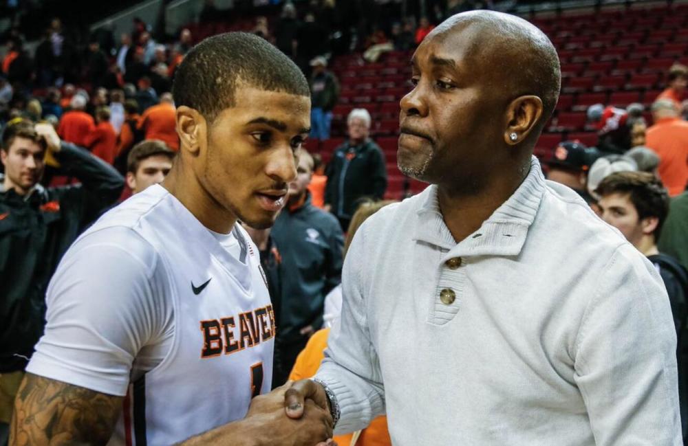 戈斯的战略 戈斯的战略