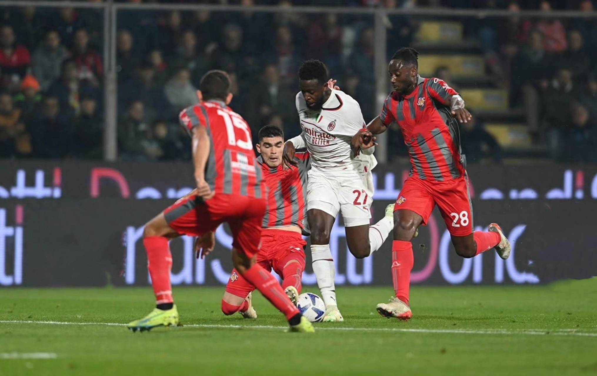 浪犬处置争 浪犬处置争